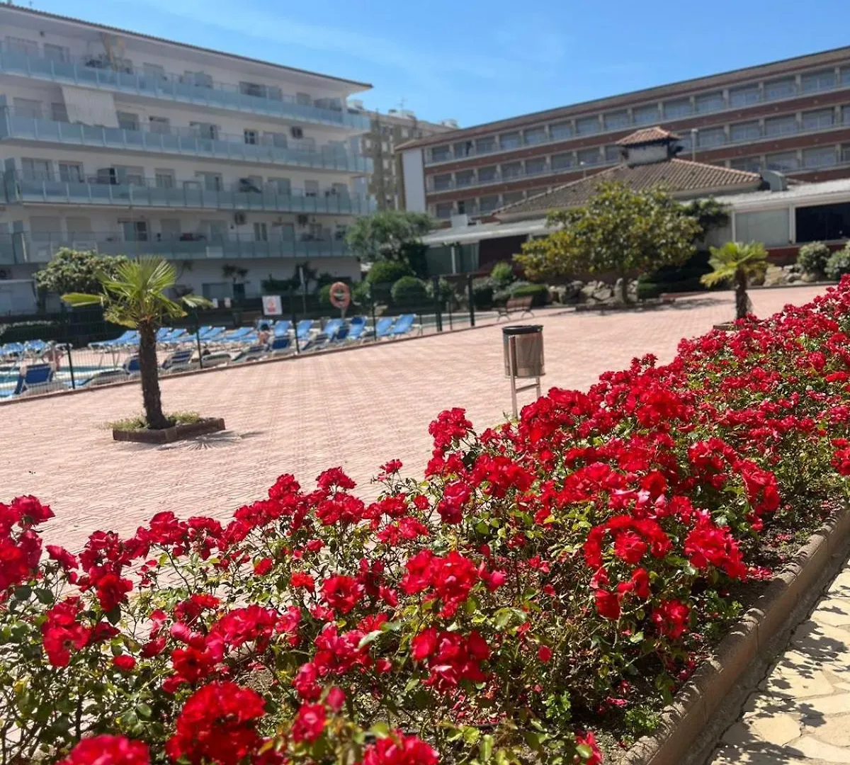 Apartamento Apcostas Els Pins Lotus Blanes