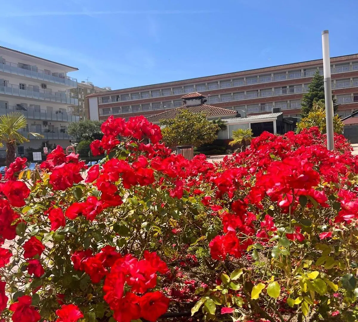 Apartamento Apcostas Els Pins Lotus Blanes